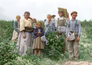 Polish_berry_pickers_color